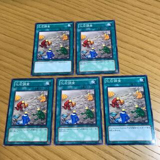 化石調査　ノーマル　5枚セット