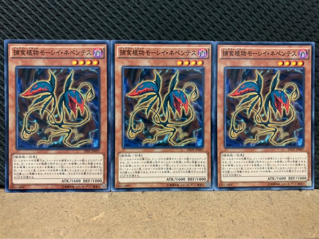 【ぽぽたん】遊戯王 8432 捕食植物モーレイ・ネペンテス 3枚 ノーマル