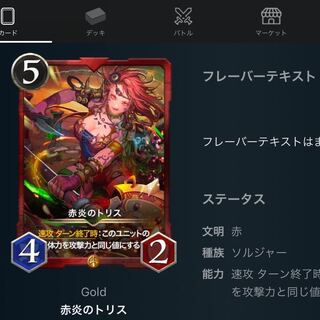 かつ様専用 赤炎のトリス その他