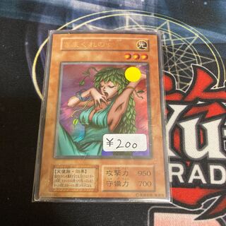 1 Day Discount!　Goddess of Whim Ultra Rare 1 piece special price Early
