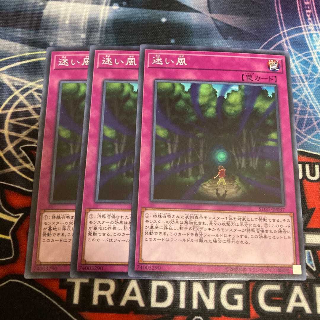 迷い風 ノーマル　3枚