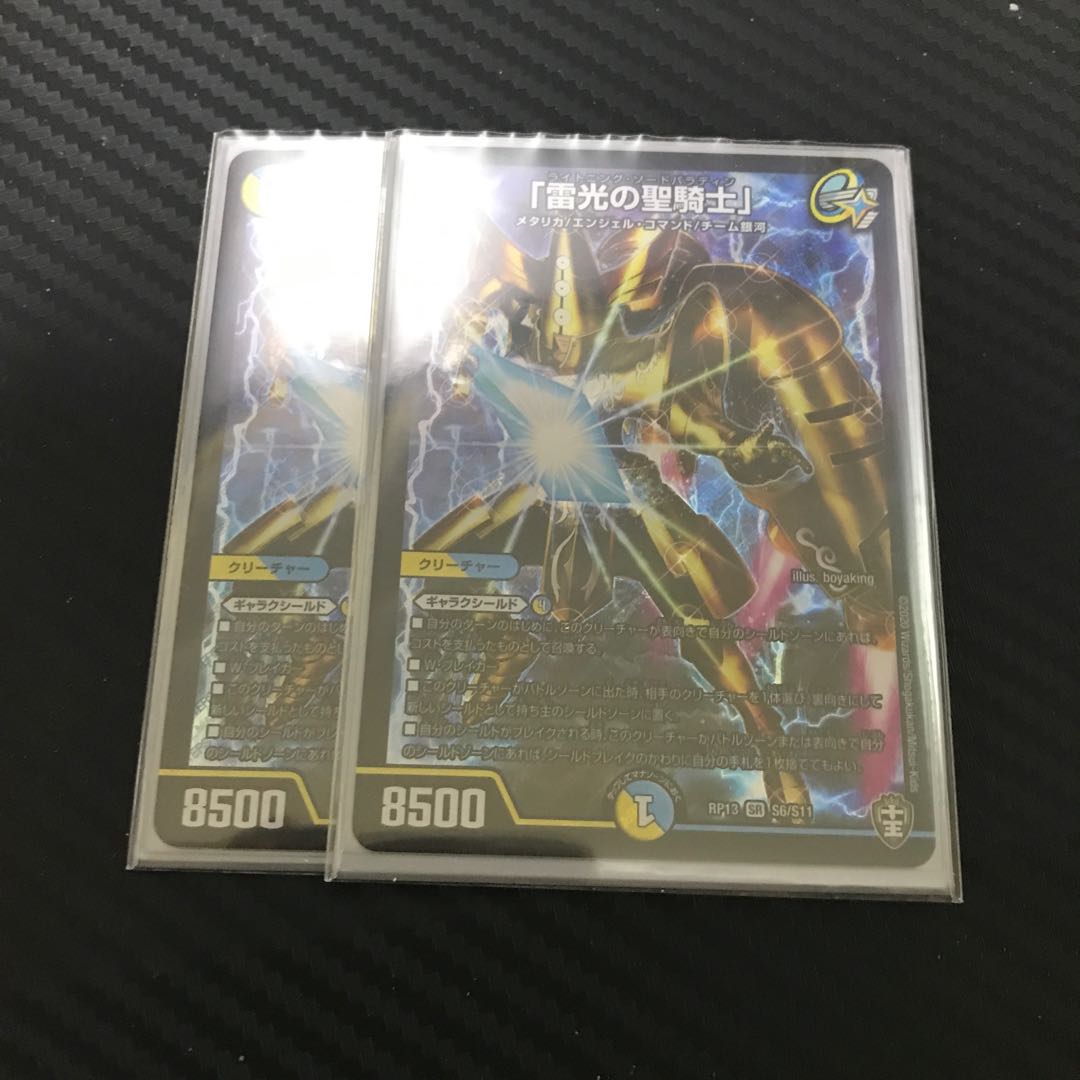 「雷光の聖騎士」