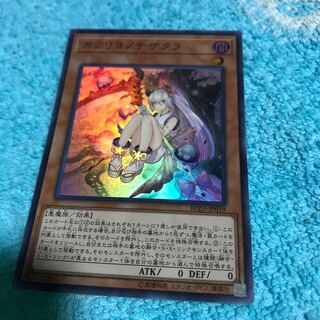 mg34801 sr kakurinochizakura