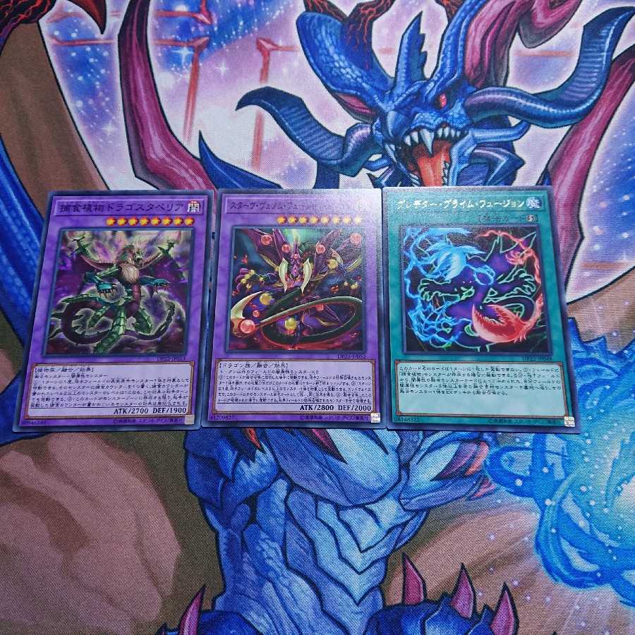 捕食植物ドラゴスタペリア ノーマル