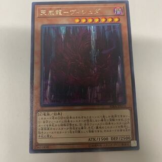 天威龍ヴィシュダ