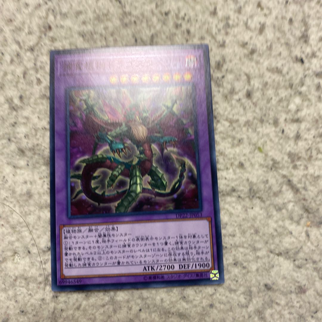 捕食植物ドラゴスタペリア