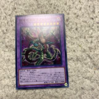 捕食植物ドラゴスタペリア