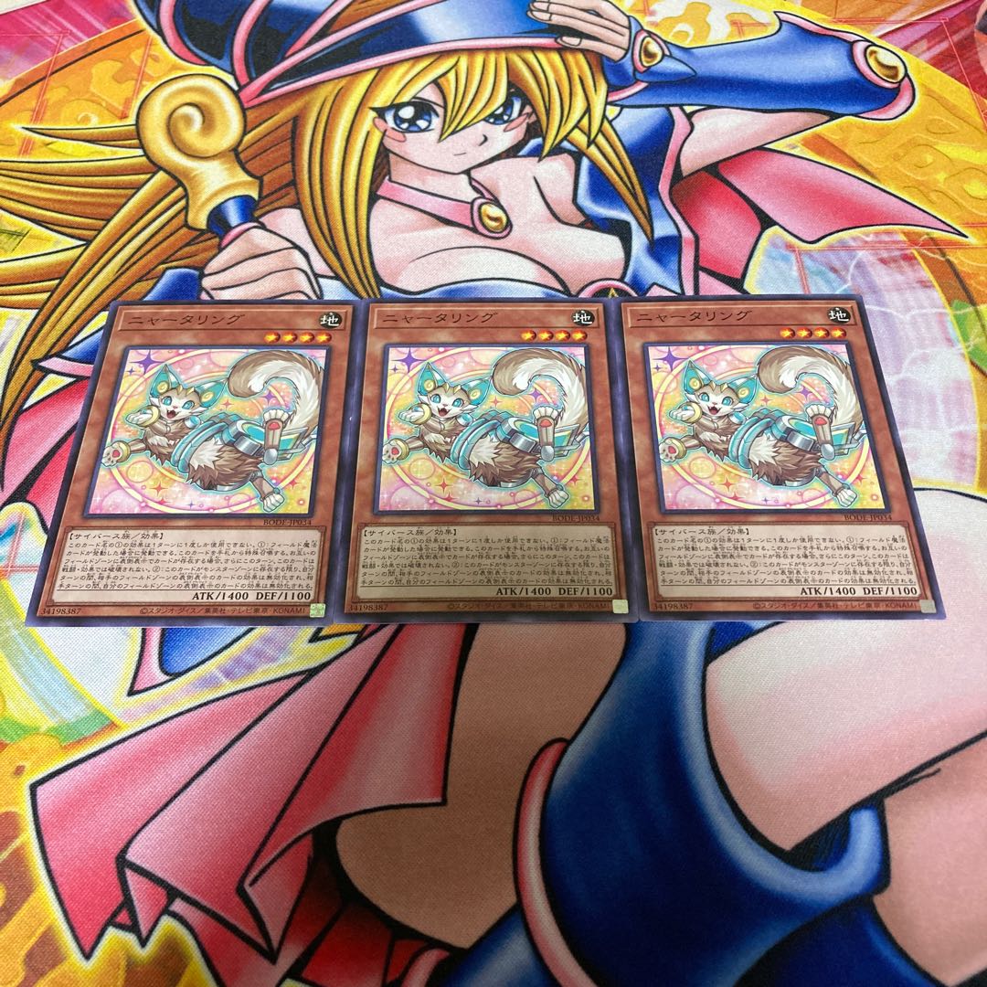 ニャータリング