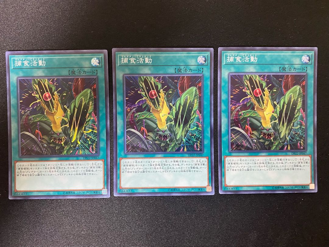 捕食活動 スーパーレア