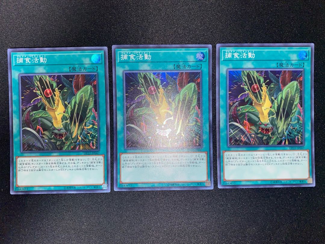 捕食活動 スーパーレア