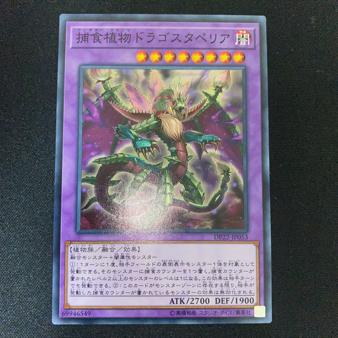 捕食植物ドラゴスタペリア ノーマル