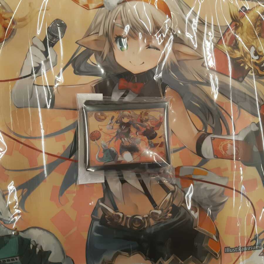 かわすみ先生描き下ろし　名古屋限定プレイマット　スリーブセット かわすみ先生描き下ろし 名古屋限定プレイマット スリーブセット