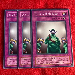 DNA改造手術☆4810