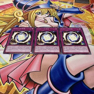 box lunch (containing rice and 10-15 small portions of fish, meat, and vegetables)