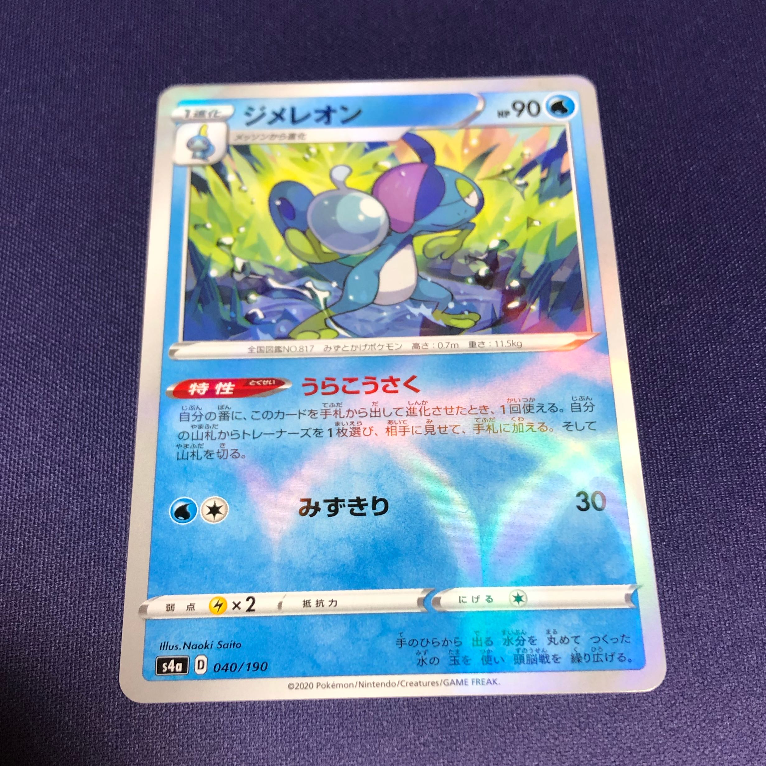 ジメレオン(ミラー仕様) うらこうさく