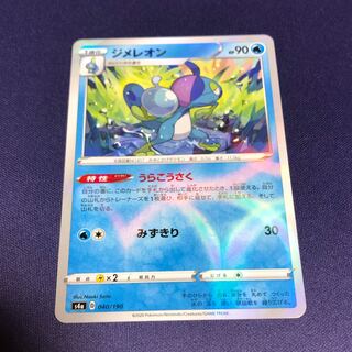 ジメレオン(ミラー仕様) うらこうさく