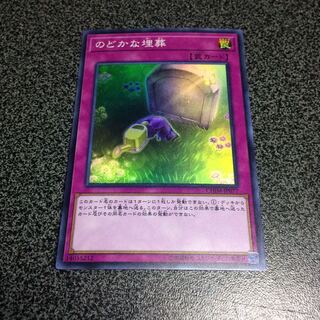 のどかな埋葬【SR】