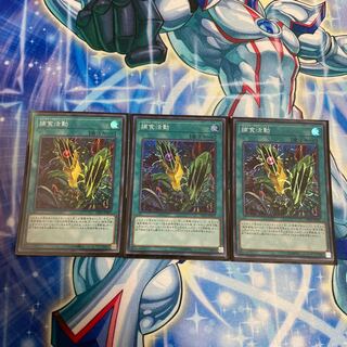 ◉捕食活動 スーパーレア　3枚セット