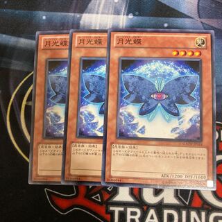Moonlit Papillon Normal 3-card special 1枚