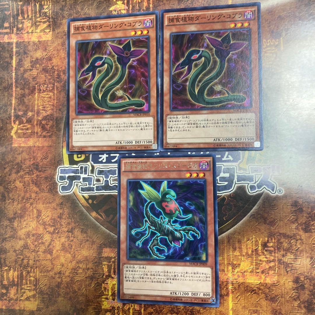 遊戯王★捕食植物オフリス・スコーピオ、ダーリング・コブラ★三枚セット★