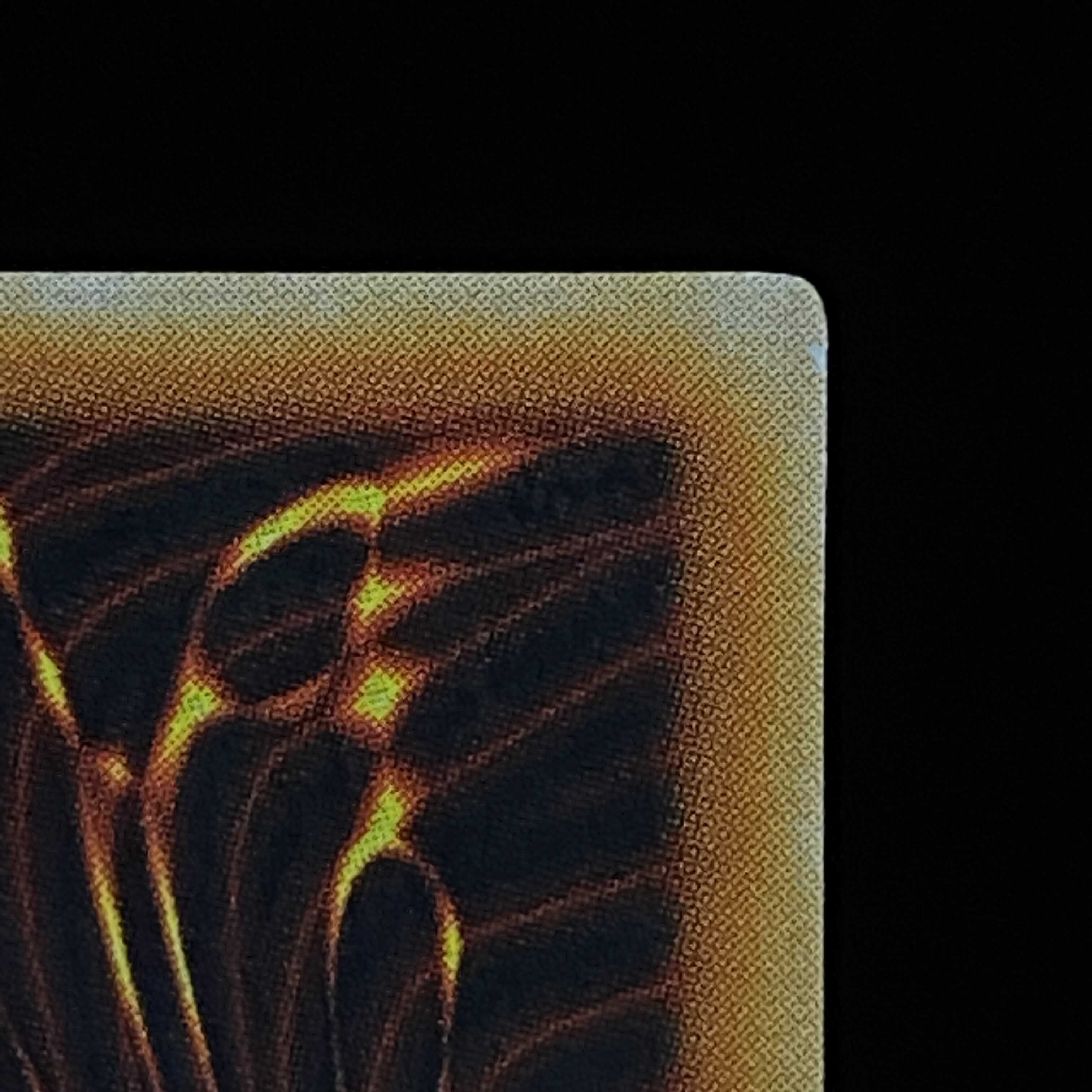 New Year Magi Special Price] Dark Magician Girl Character Rare