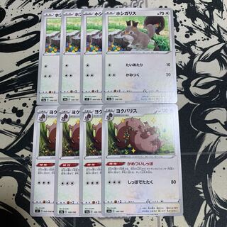 ホシガリス　ヨクバリス