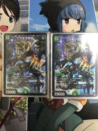 ブラキオ龍樹　2枚