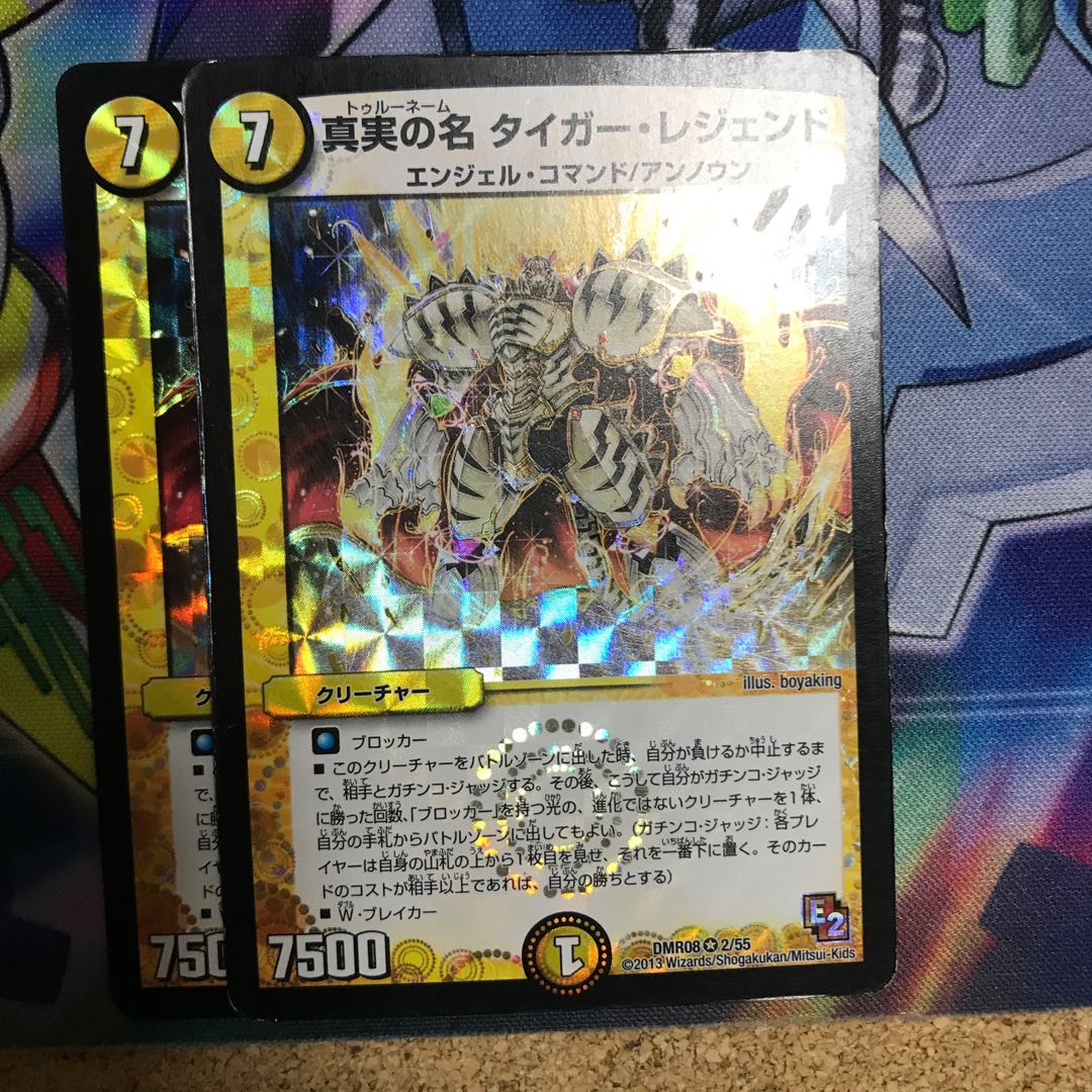 真実の名タイガー・レジェンド