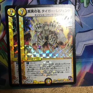 真実の名タイガー・レジェンド