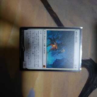 剛胆な敵対者(日)