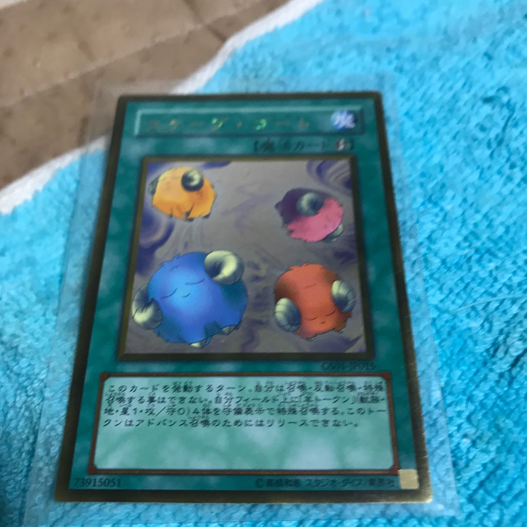 mg34801 GR scape with go