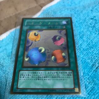 mg34801 GR scape with go