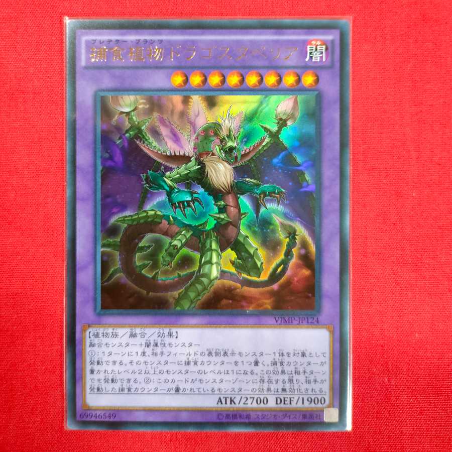 捕食植物ドラゴスタペリア ウルトラレア