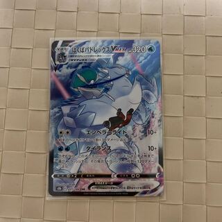 はくばバドレックスVMAX CSR