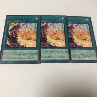 烙印の気炎 レア