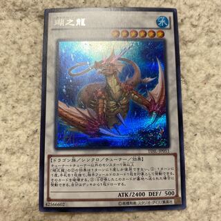 瑚之龍　コーラルドラゴン　シークレット　シク