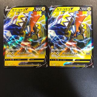 カプ・コケコV 2枚