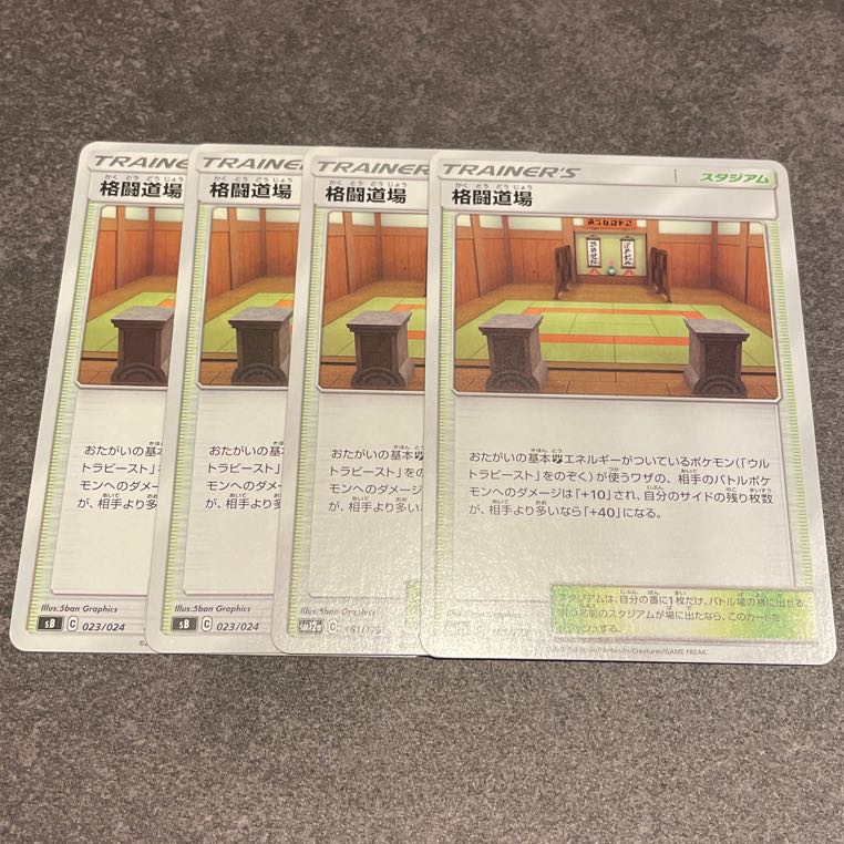 Martial Arts Dojo 4 pieces