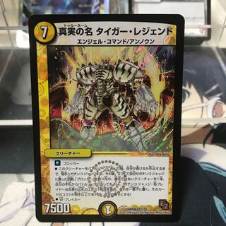 真実の名タイガーレジェンド