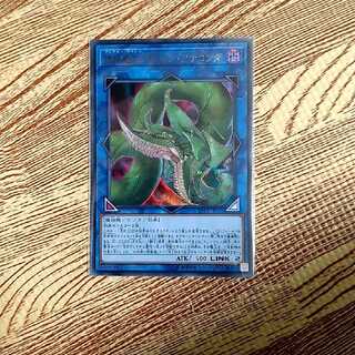 捕食植物ヴェルテ・アナコンダ ウルトラレア