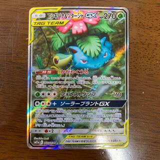 フシギバナ&ツタージャ sa