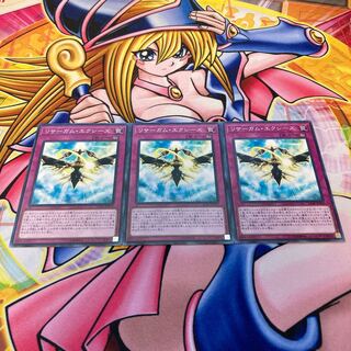 リサーガム・エクシーズ