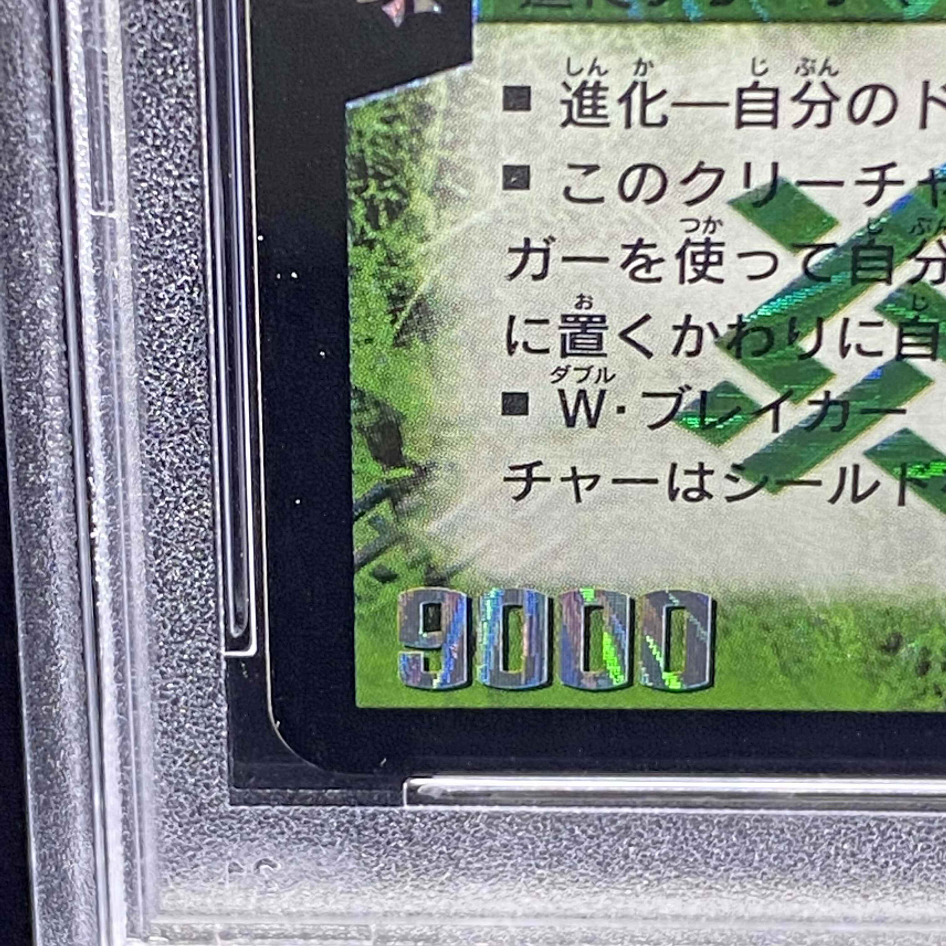 PSA8 Super Terradragon Bailas Gale Early SR