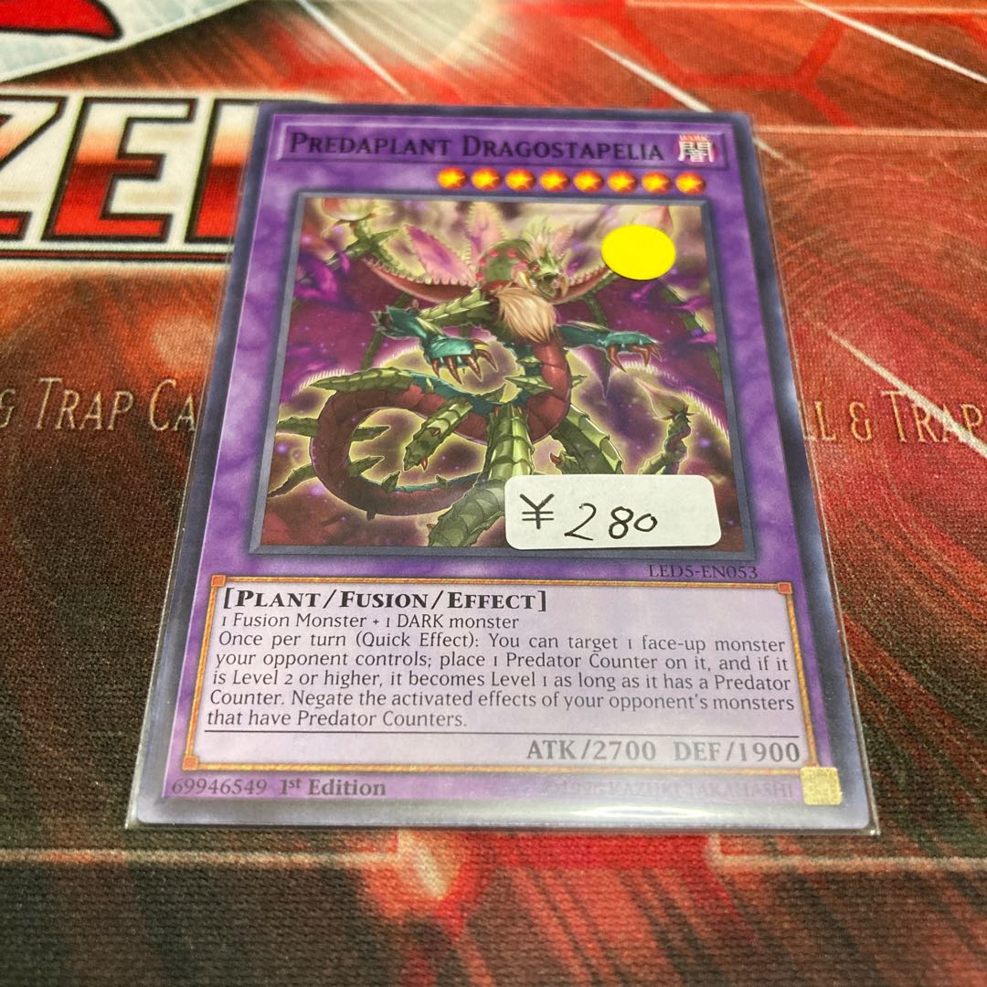 Predaplant Dragostapelia Normal 1 English