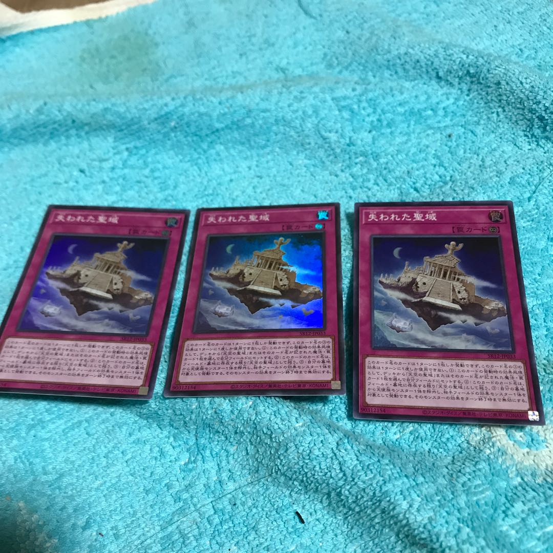 mg34802 SR 失われた聖域３枚 1枚