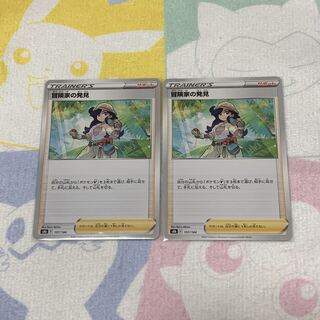 Adventurer's Discovery 2-Pack