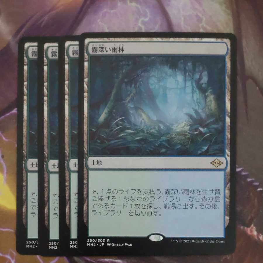 Misty Rainforest Summary 35