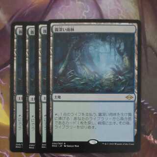 Misty Rainforest Summary 35