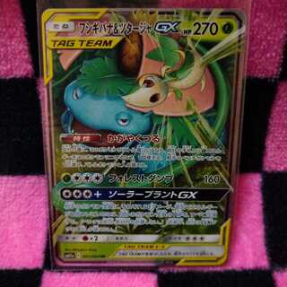 フシギバナ＆ツタージャGX