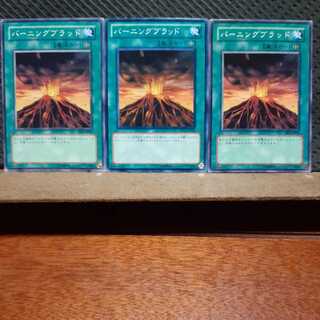 【ぽぽたん】遊戯王  5858　 バーニングブラッド　3枚セット　ノーマル